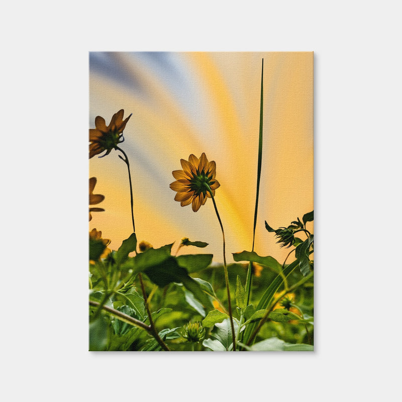 AUTO-MOCKUP WHITE | Beach Sunflowers | 1 Piece | Gallery Wrap Canvas | group=3x4