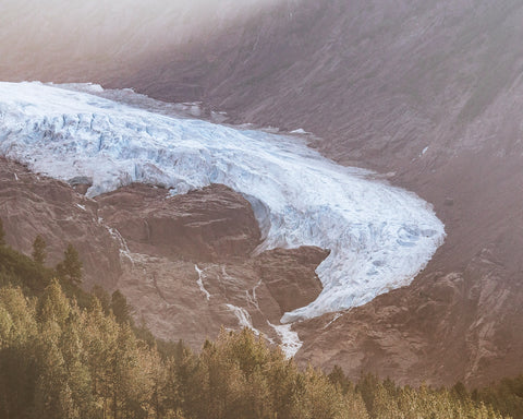 Bear Glacier Wall Art