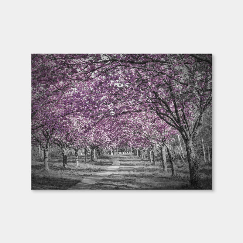 AUTO-MOCKUP WHITE | Beautiful Cherry Blossom Alley in Pink | 1 Piece | Gallery Wrap Canvas | group=4x3