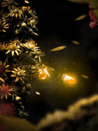 Bees Wall Art