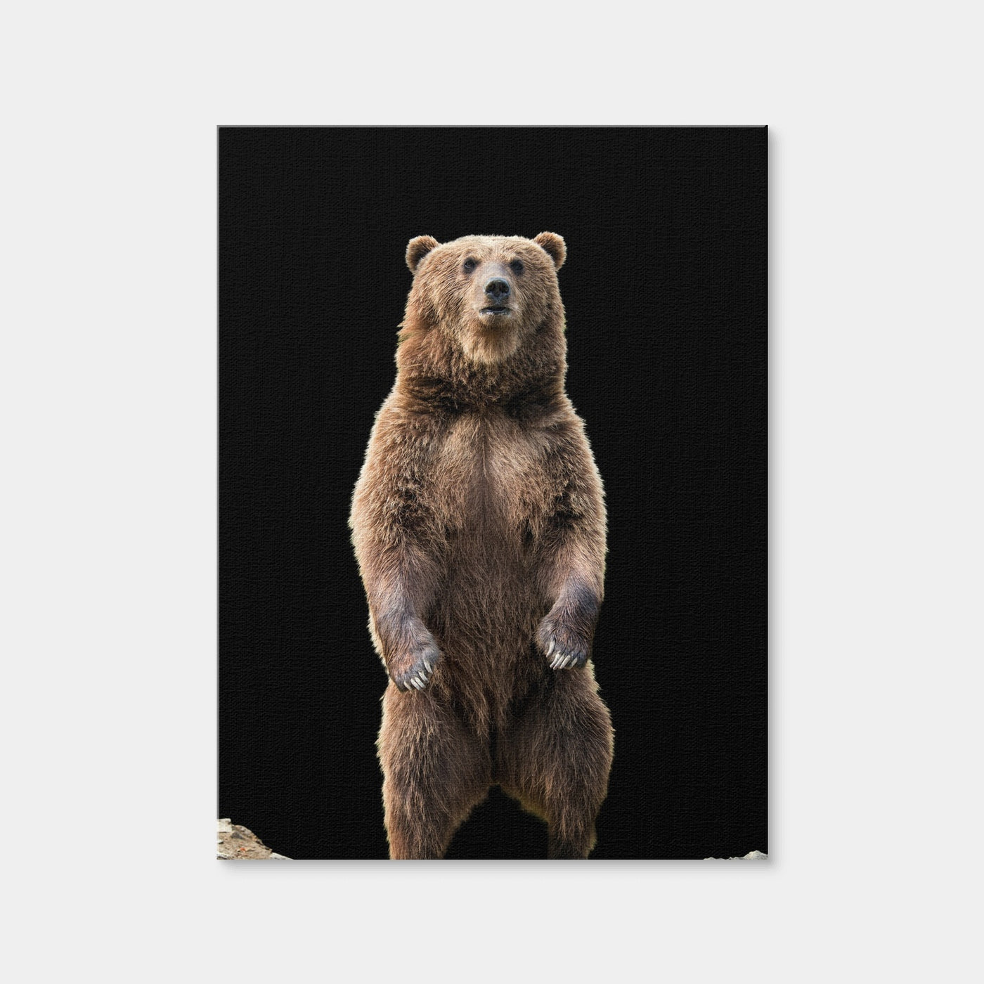 AUTO-MOCKUP WHITE | Big Brown Bear Standing | 1 Piece | Gallery Wrap Canvas | group=3x4