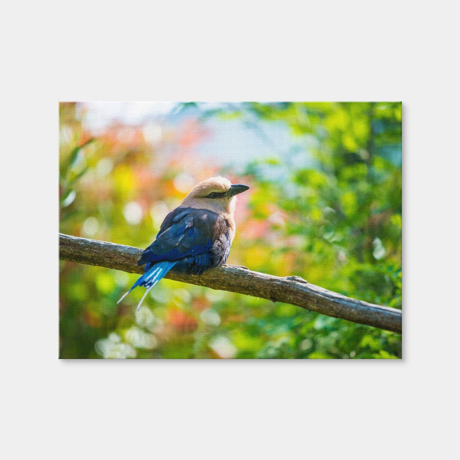 AUTO-MOCKUP WHITE | Bird On A Tree | 1 Piece | Gallery Wrap Canvas | group=4x3