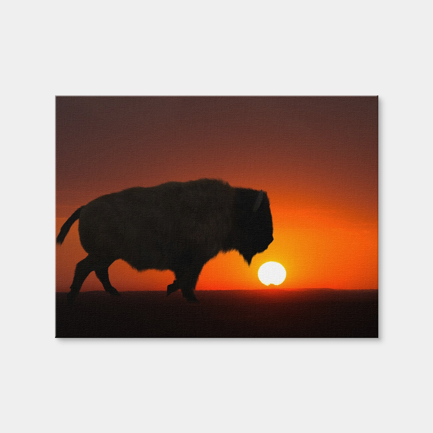 AUTO-MOCKUP WHITE | Bison at Sunset | 1 Piece | Gallery Wrap Canvas | group=4x3