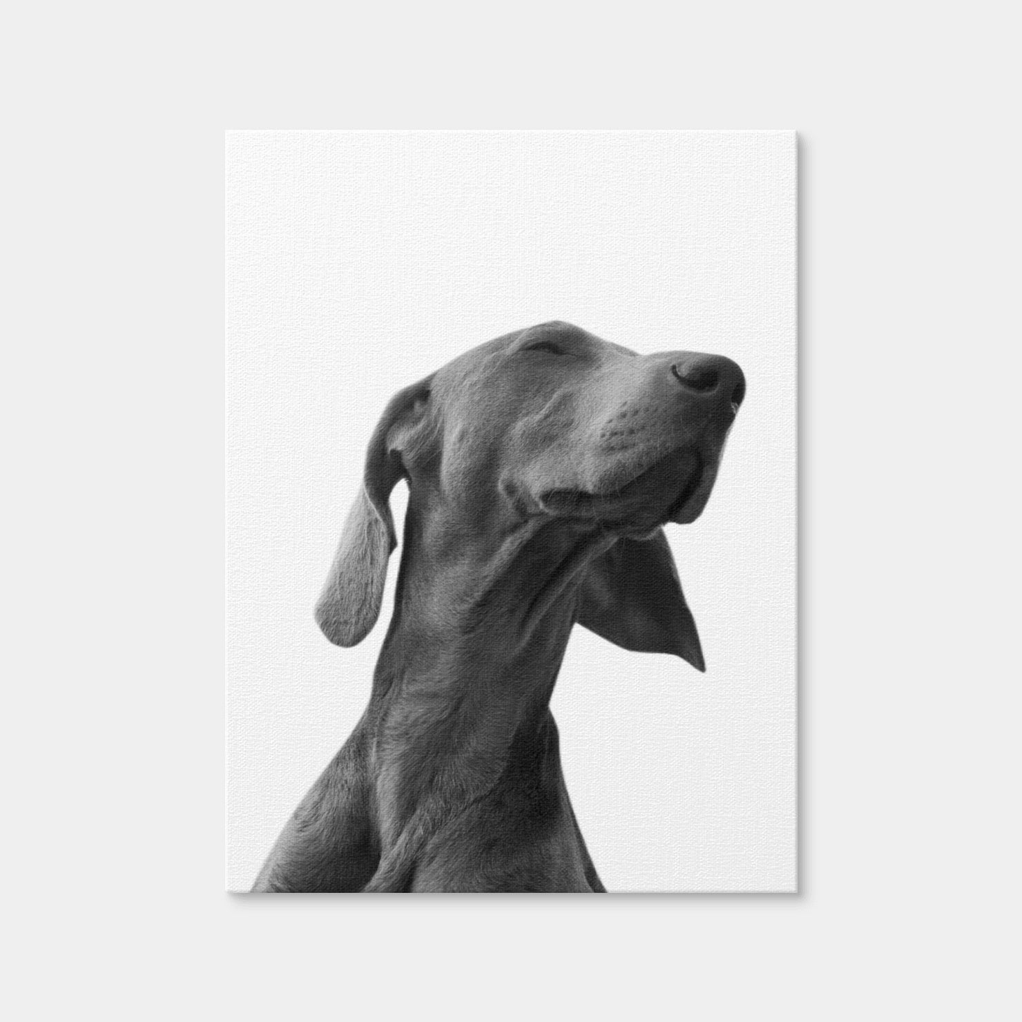 AUTO-MOCKUP WHITE | Black Dog | 1 Piece | Gallery Wrap Canvas | group=3x4