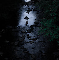 Black River Wall Art