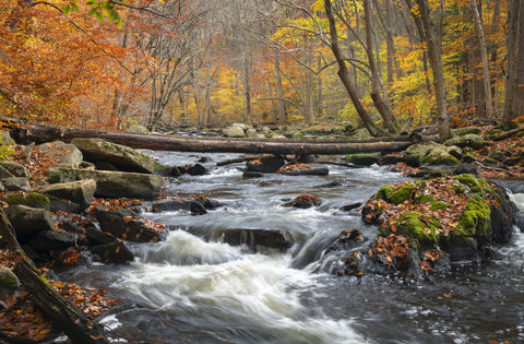 Black River Catskills NY Wall Art
