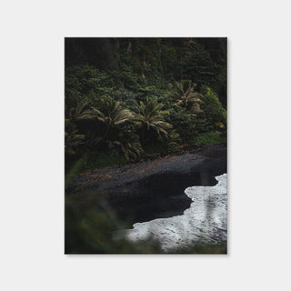 AUTO-MOCKUP WHITE | Black Sand Palms | 1 Piece | Gallery Wrap Canvas | group=3x4