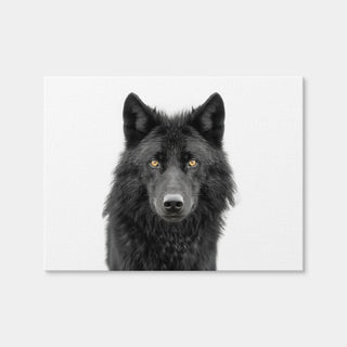 AUTO-MOCKUP WHITE | Black Wolf Portrait | 1 Piece | Gallery Wrap Canvas | group=4x3