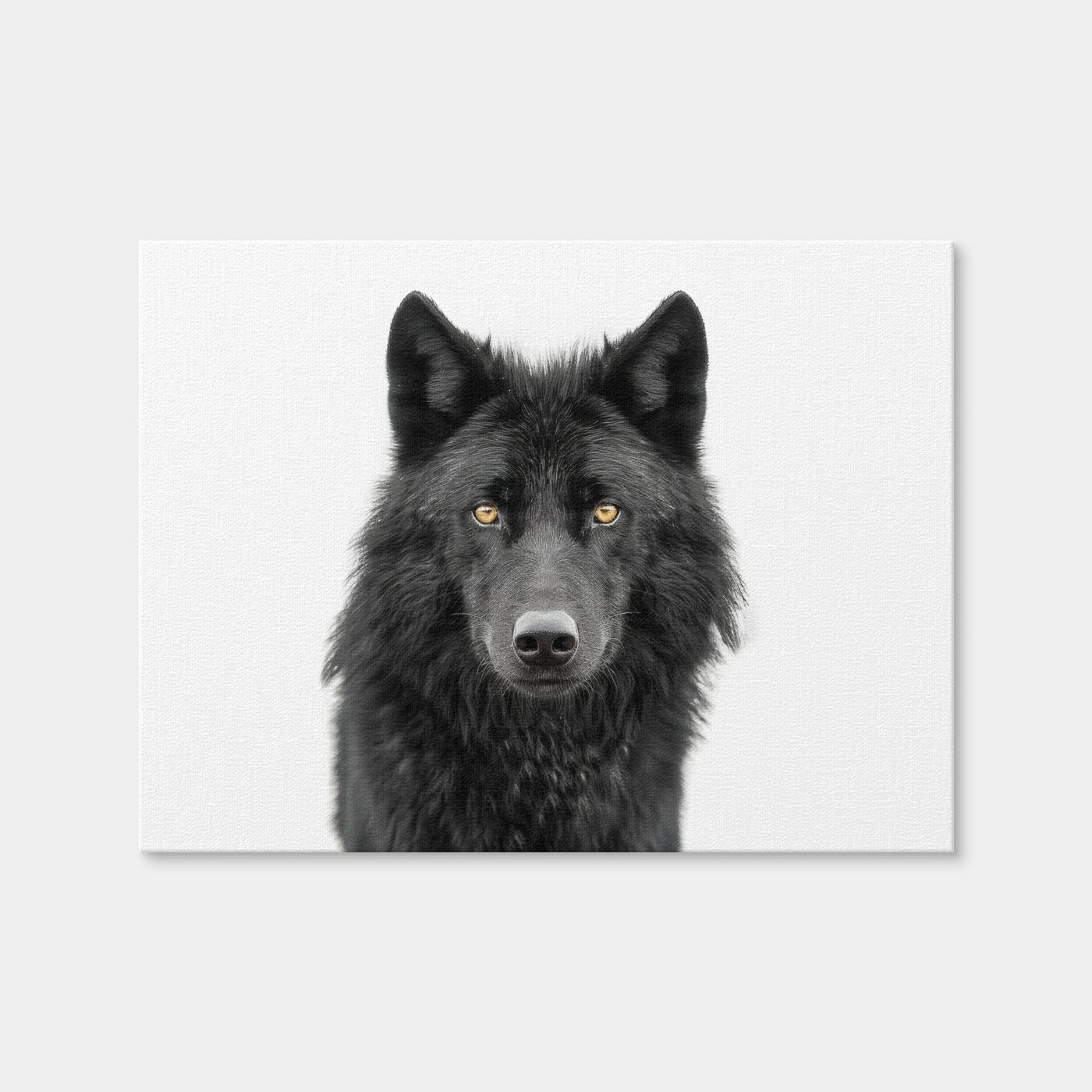 AUTO-MOCKUP WHITE | Black Wolf Portrait | 1 Piece | Gallery Wrap Canvas | group=4x3