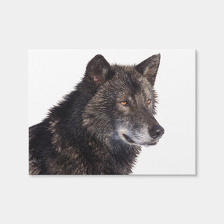 AUTO-MOCKUP WHITE | Black Wolf Side Portrait | 1 Piece | Gallery Wrap Canvas | group=4x3