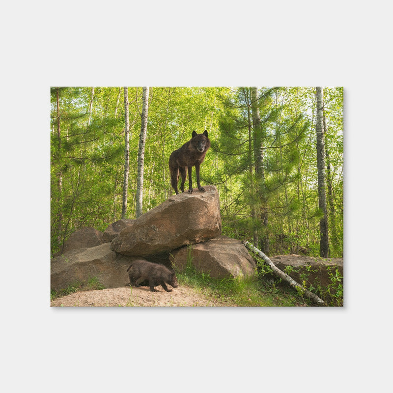AUTO-MOCKUP WHITE | Black Wolf on Den | 1 Piece | Gallery Wrap Canvas | group=4x3