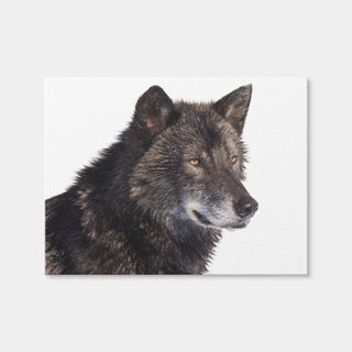 AUTO-MOCKUP WHITE | Black Wolf Side Portrait | 1 Piece | Gallery Wrap Canvas | group=4x3