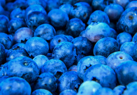 Blue Blueberries Wall Art