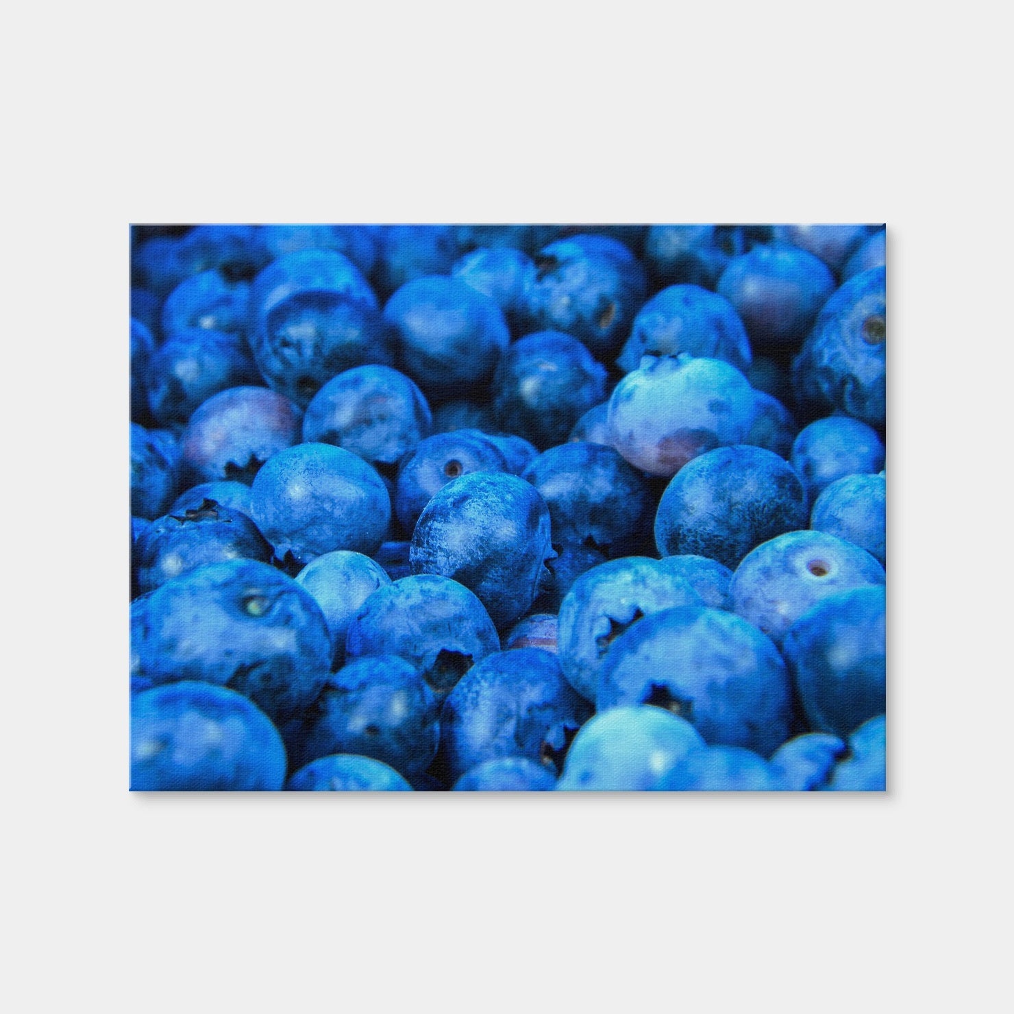 AUTO-MOCKUP WHITE | Blue Blueberries | 1 Piece | Gallery Wrap Canvas | group=4x3
