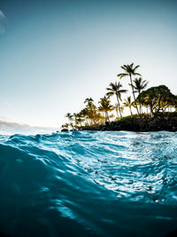 Blue Morning Wall Art