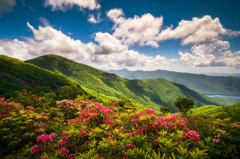 Blue Ridge Parkway Wall Art
