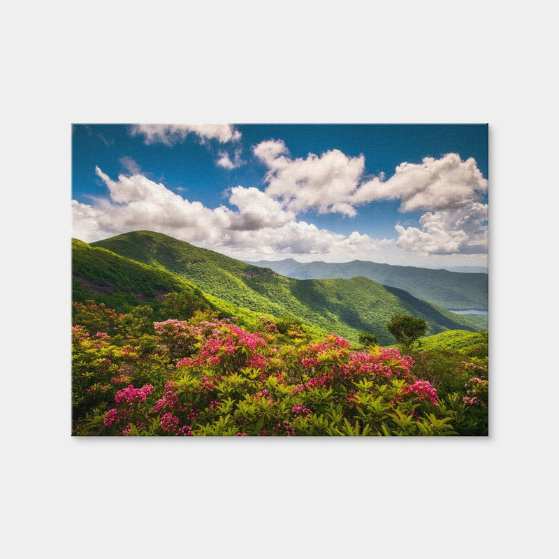 AUTO-MOCKUP WHITE | Blue Ridge Parkway | 1 Piece | Gallery Wrap Canvas | group=4x3