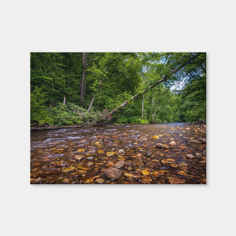 AUTO-MOCKUP WHITE | Blue Ridge Pky NC | 1 Piece | Gallery Wrap Canvas | group=4x3