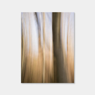 AUTO-MOCKUP WHITE | Blurred Heath | 1 Piece | Gallery Wrap Canvas | group=3x4
