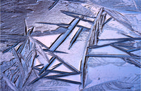 Bog Ice Morning Reflection Wall Art