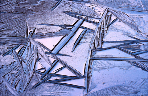 Bog Ice Morning Reflection Wall Art