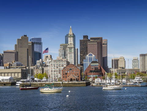 Boston Skyline North End & Financial District Wall Art