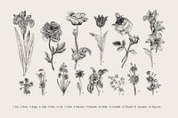 Botany Set Vintage Flowers Wall Art