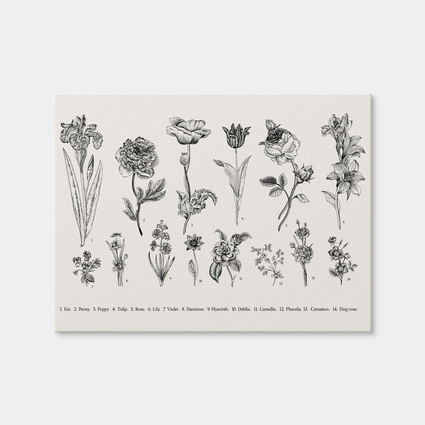 AUTO-MOCKUP WHITE | Botany Set Vintage Flowers | 1 Piece | Gallery Wrap Canvas | group=4x3