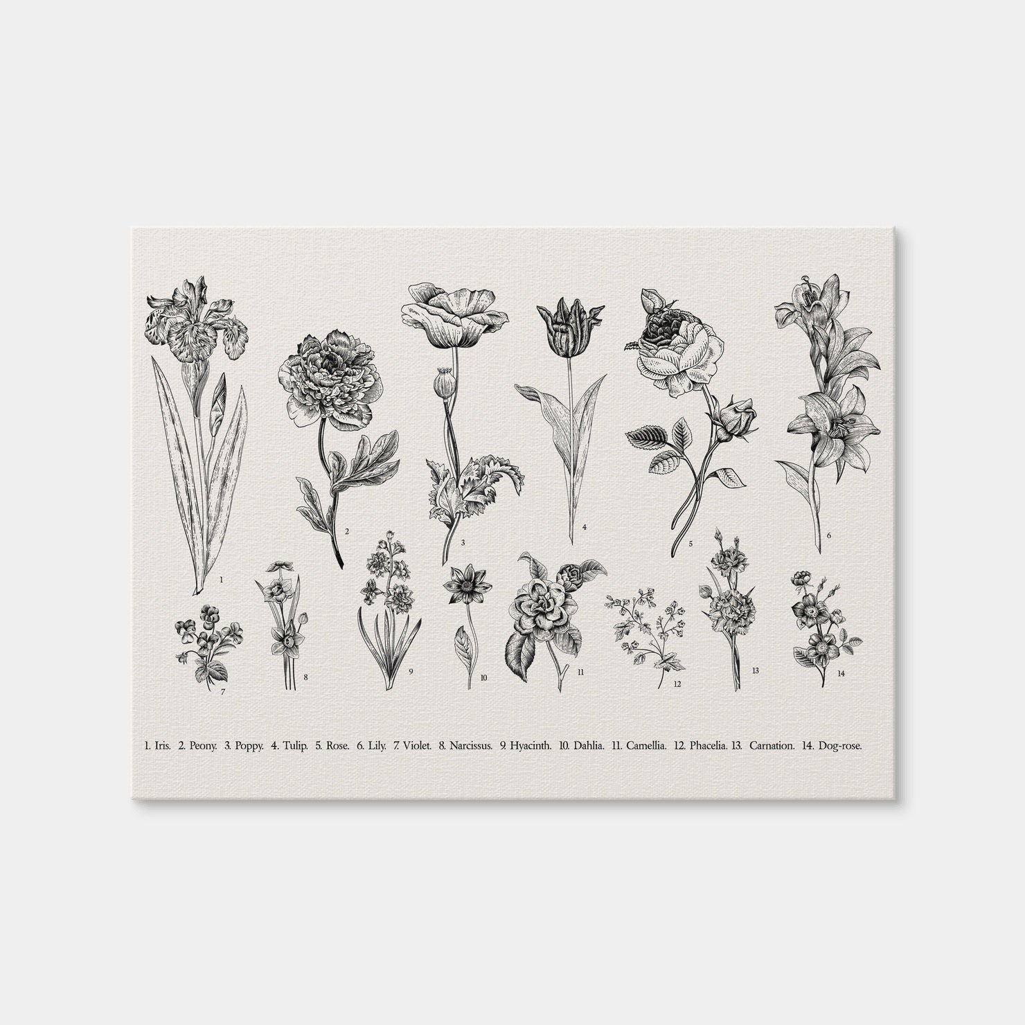 AUTO-MOCKUP WHITE | Botany Set Vintage Flowers | 1 Piece | Gallery Wrap Canvas | group=4x3