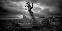 Branch Hand Wall Art