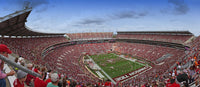 Bryant Denny Stadium Wall Art