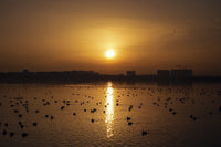 Bucharest Sunset 7 Wall Art