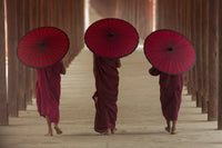 Buddhist monks in Burma Wall Art