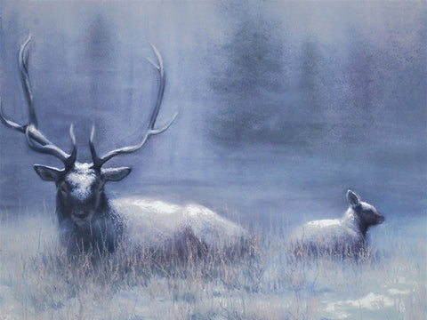Bull Elk & Calf Blue Wall Art