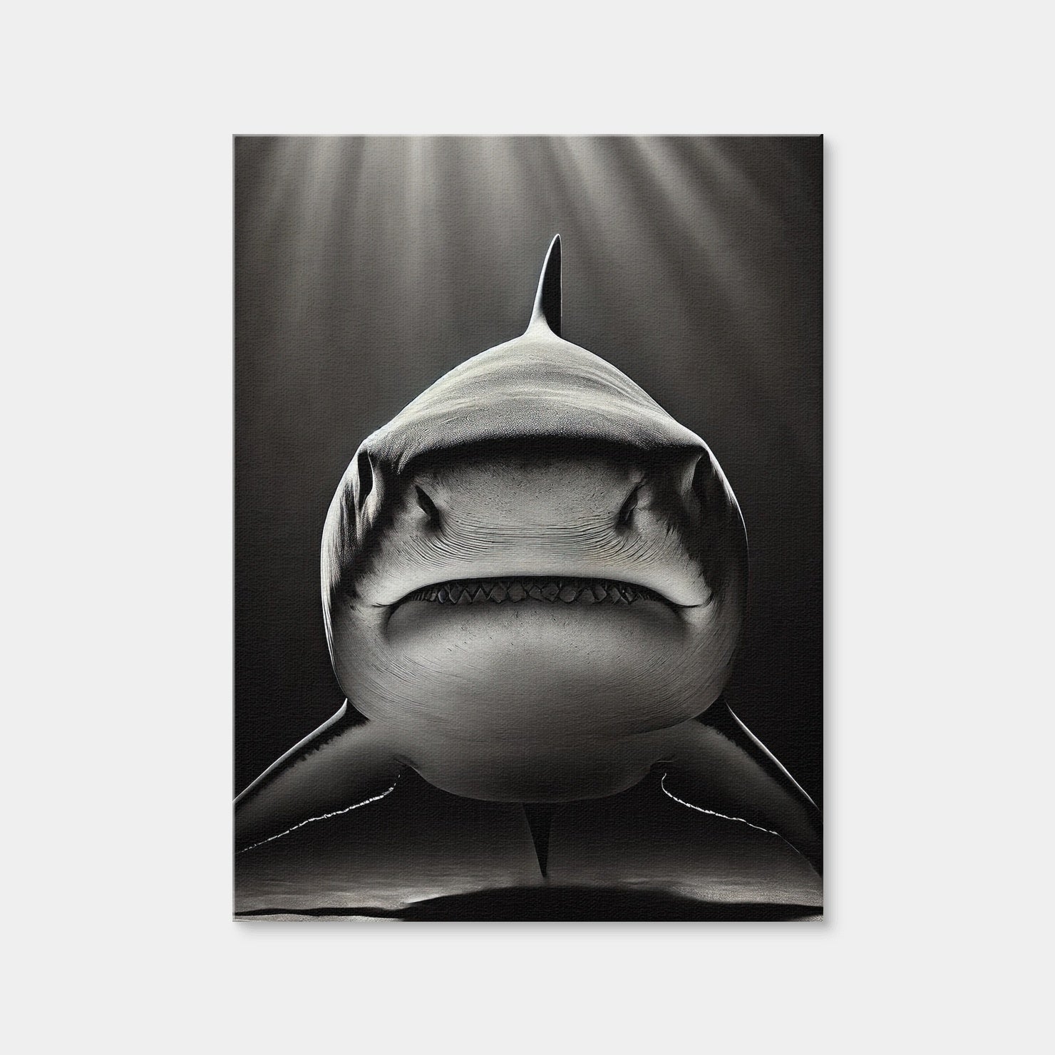 AUTO-MOCKUP WHITE | Bull Shark Head On | 1 Piece | Gallery Wrap Canvas | group=3x4