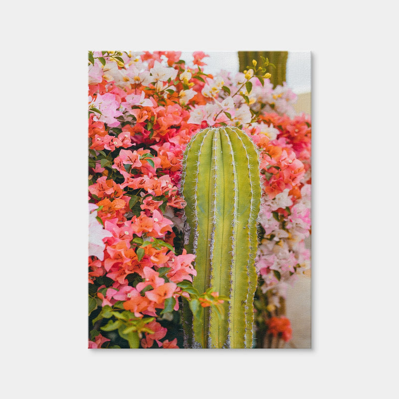 AUTO-MOCKUP WHITE | Cactus & Flowers | 1 Piece | Gallery Wrap Canvas | group=3x4