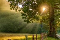 Cades Cove Wall Art