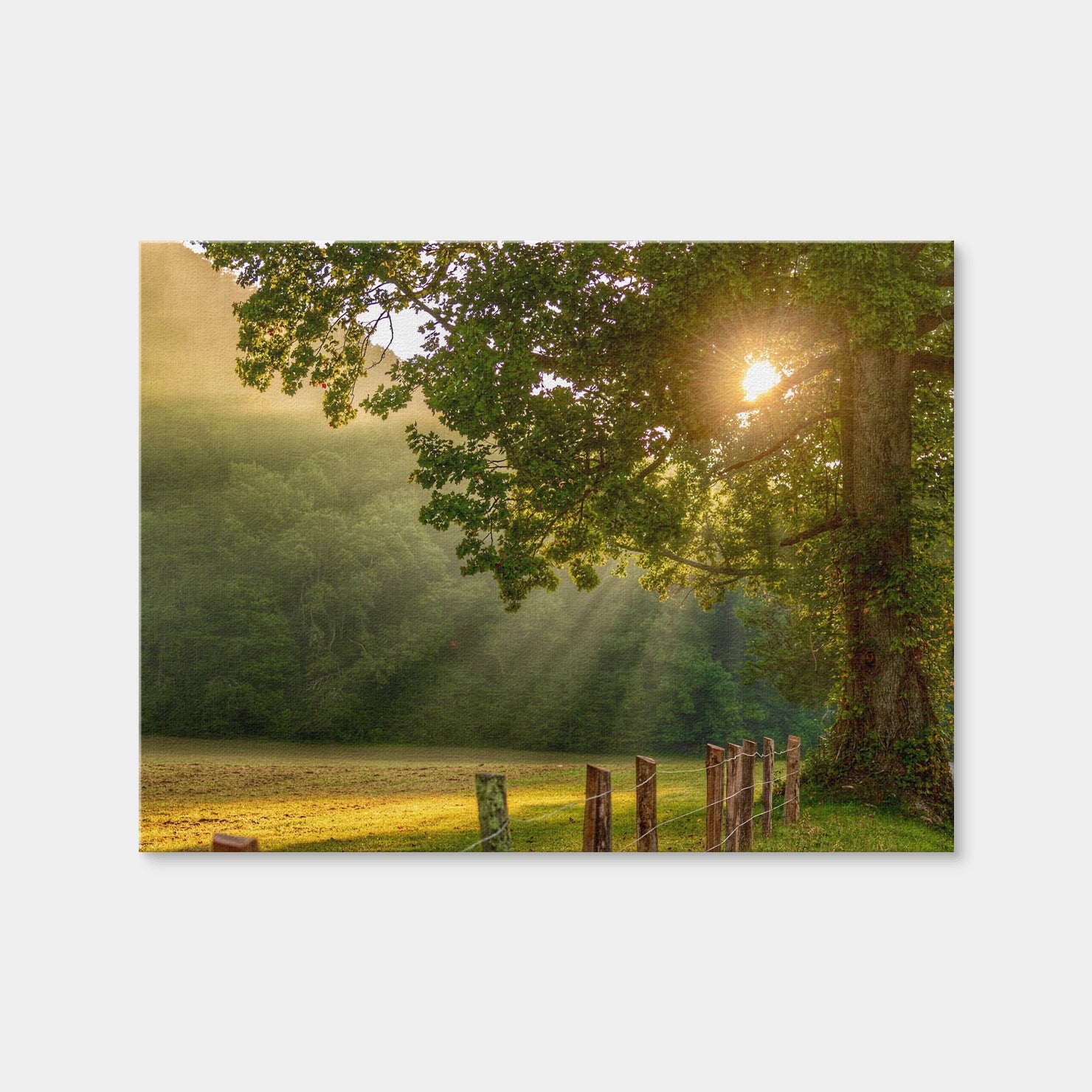 AUTO-MOCKUP WHITE | Cades Cove | 1 Piece | Gallery Wrap Canvas | group=4x3