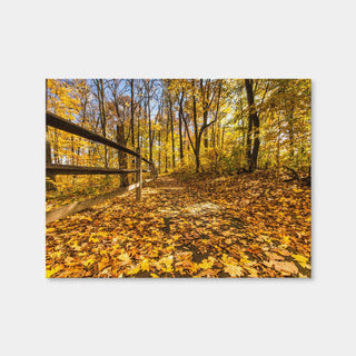 AUTO-MOCKUP WHITE | Caesar Creek State Park Fall Foliage | 1 Piece | Gallery Wrap Canvas | group=4x3