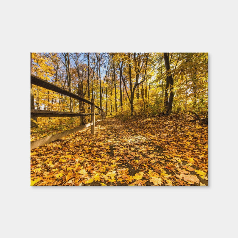AUTO-MOCKUP WHITE | Caesar Creek State Park Fall Foliage | 1 Piece | Gallery Wrap Canvas | group=4x3