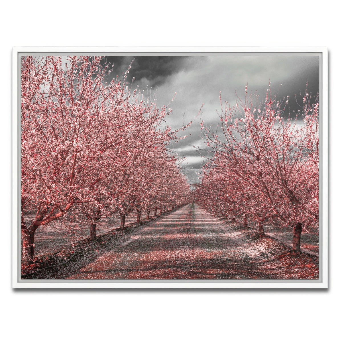 AUTO-MOCKUP WHITE | California Pink Blossoms | 1 Piece | White Framed Canvas | group=4x3