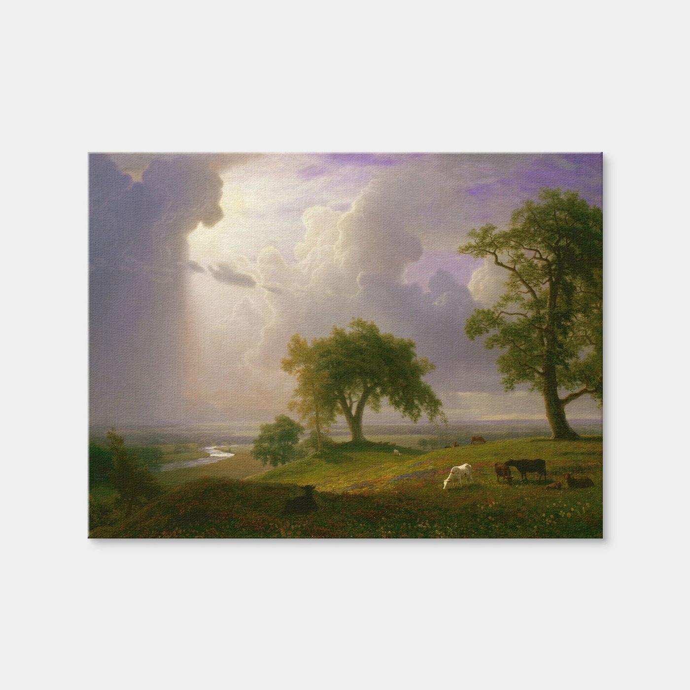 AUTO-MOCKUP WHITE | California Spring | 1 Piece | Gallery Wrap Canvas | group=4x3