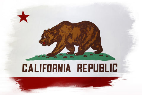 California State Flag Wall Art