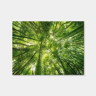 AUTO-MOCKUP WHITE | Canopy in Pisa Italy | 1 Piece | Gallery Wrap Canvas | group=4x3