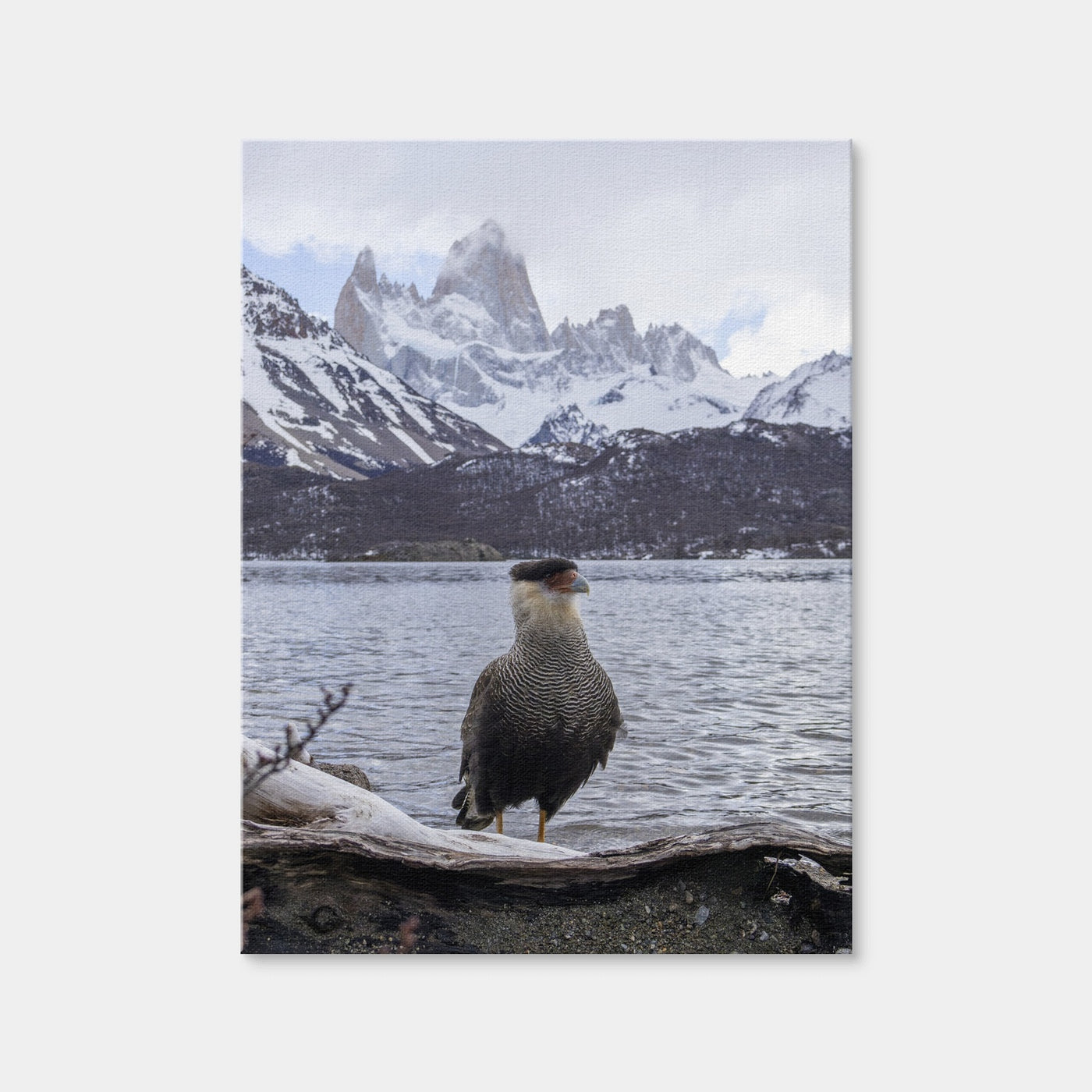 AUTO-MOCKUP WHITE | Carcara and Fitz Roy | 1 Piece | Gallery Wrap Canvas | group=3x4