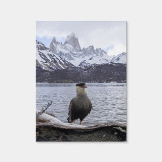 AUTO-MOCKUP WHITE | Carcara and Fitz Roy | 1 Piece | Gallery Wrap Canvas | group=3x4