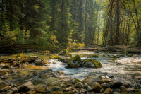 Cascade River Wall Art