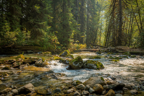 Cascade River Wall Art