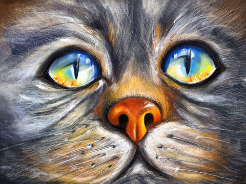 Cat Eyes Wall Art