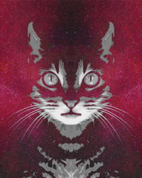 Cat Face with Cosmic Background Wall Art